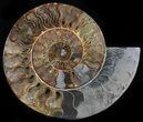 Wide Split Ammonite Pair - Crystal Chambers #37033-1